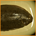 Frischer Fisch!